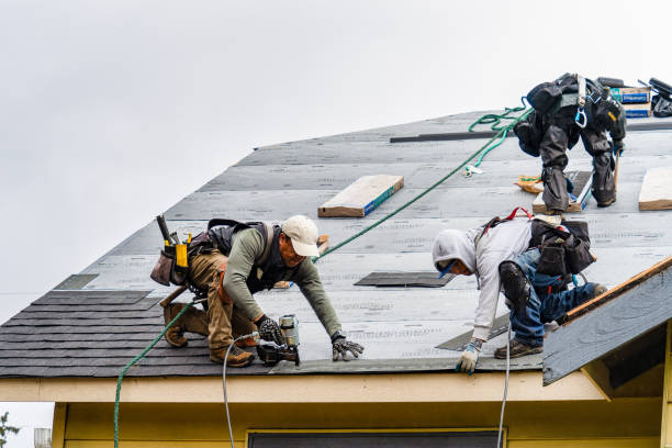 Professional Gutter Installation technician working in Trenton, TN